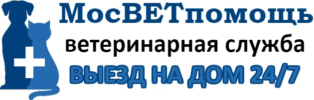 Ветпомощь на дому в Москве